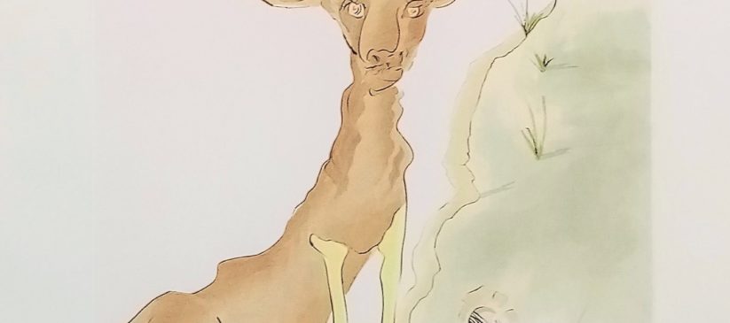 Le cerf se voyant dans l'eau bestaire la fontaine dali