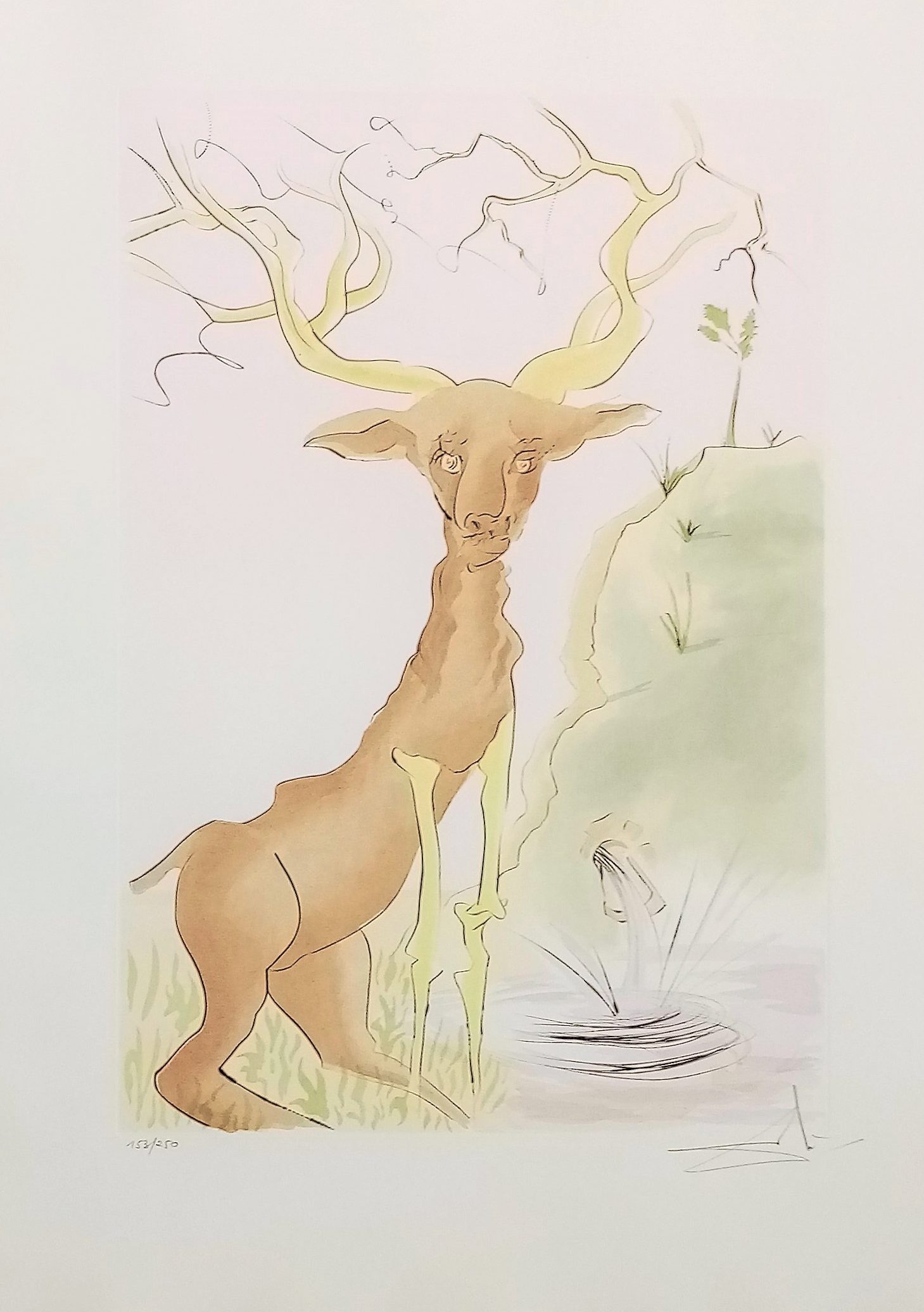 Le cerf se voyant dans l'eau bestaire la fontaine dali