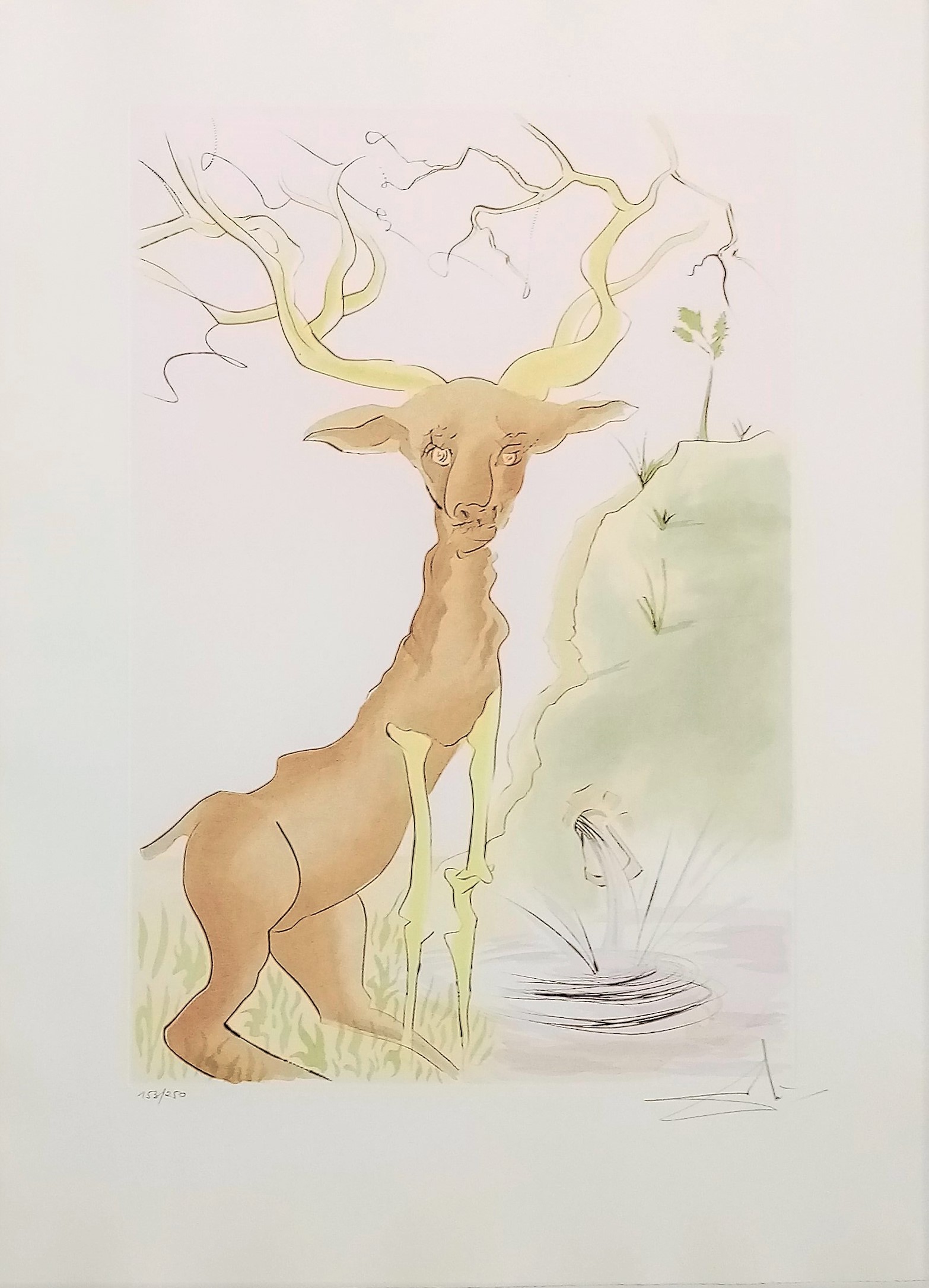 Le cerf se voyant dans l'eau